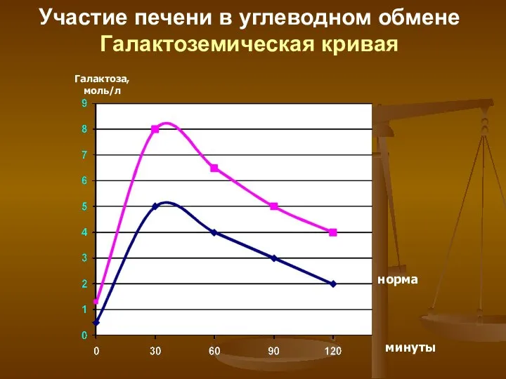 Участие печени в углеводном обмене Галактоземическая кривая Галактоза, моль/л норма минуты