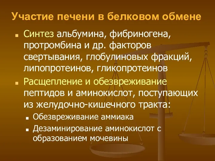 Участие печени в белковом обмене Синтез альбумина, фибриногена, протромбина и др.