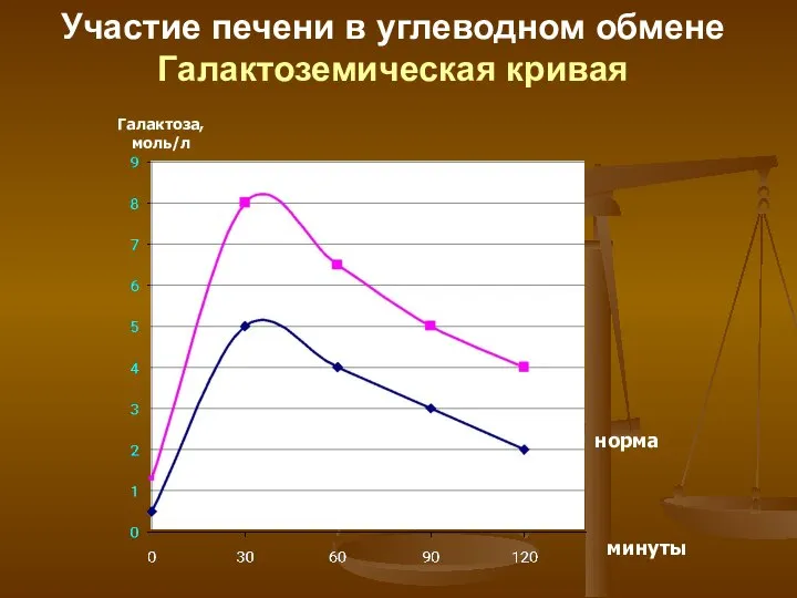 Участие печени в углеводном обмене Галактоземическая кривая Галактоза, моль/л норма минуты