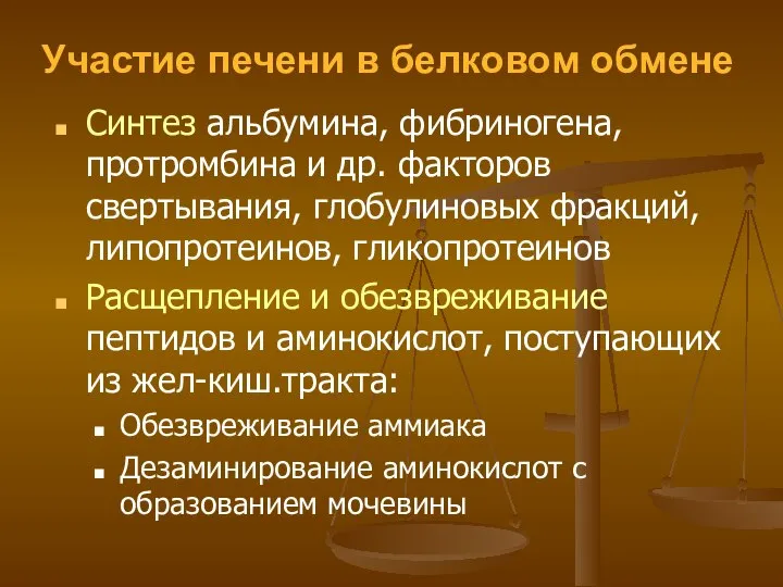 Участие печени в белковом обмене Синтез альбумина, фибриногена, протромбина и др.