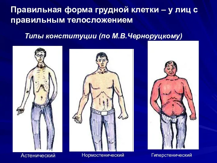 Типы конституции (по М.В.Черноруцкому) Астенический Нормостенический Гиперстенический Правильная форма грудной клетки