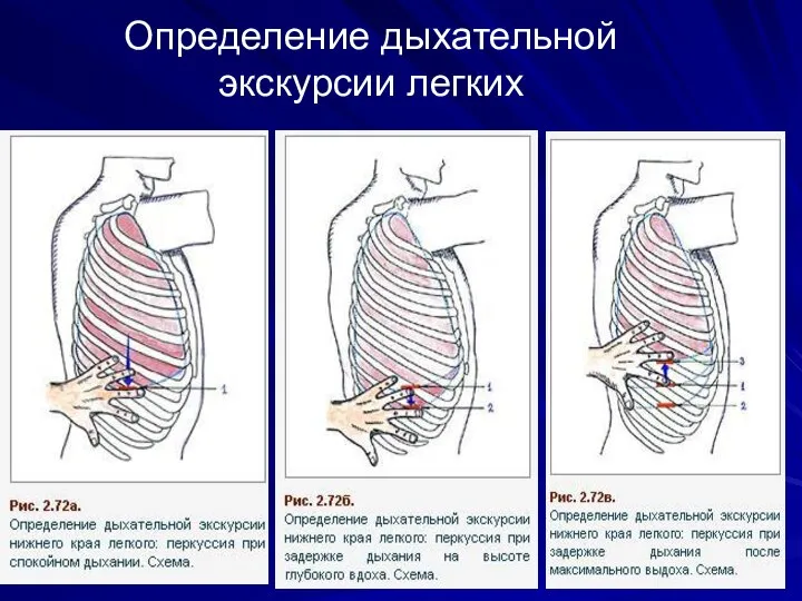 Определение дыхательной экскурсии легких