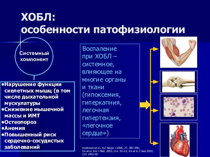 ХОБЛ: особенности патофизиологии Системный компонент Нарушение функции скелетных мышц (в том