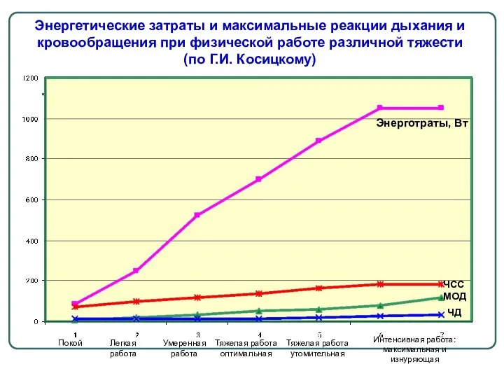 Энергетические затраты и максимальные реакции дыхания и кровообращения при физической работе