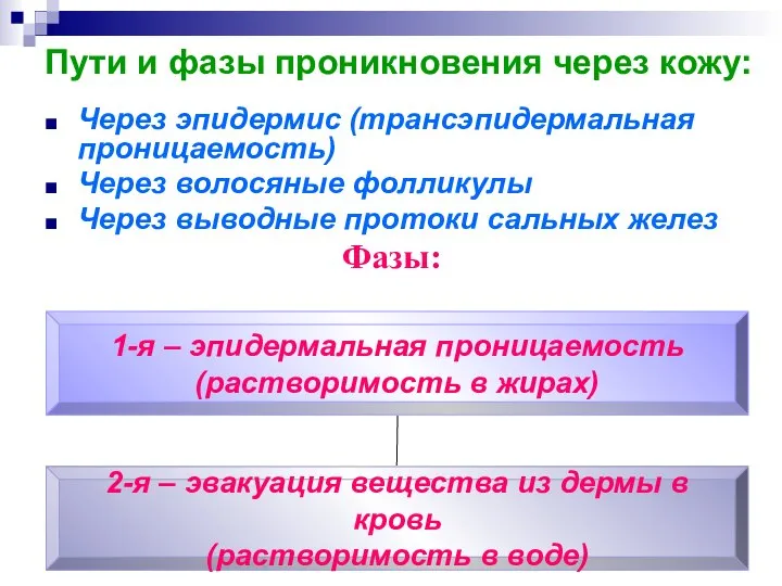 Пути и фазы проникновения через кожу: Через эпидермис (трансэпидермальная проницаемость) Через