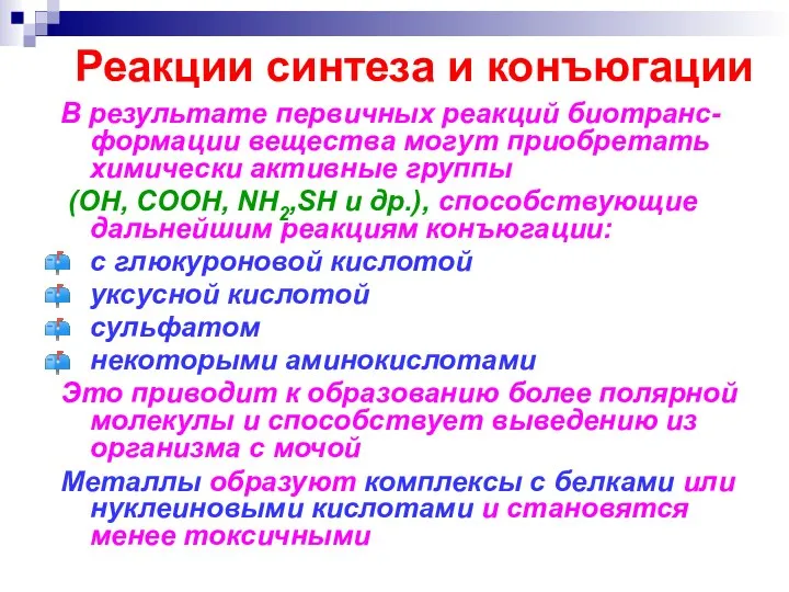 Реакции синтеза и конъюгации В результате первичных реакций биотранс-формации вещества могут