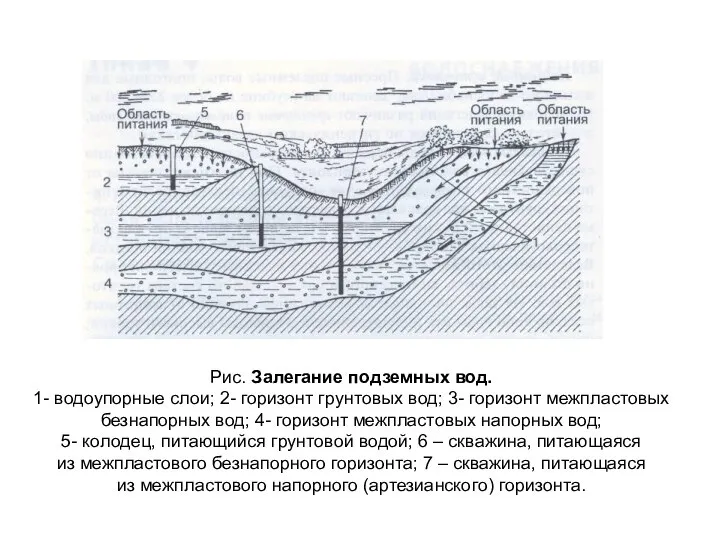 Рис. Залегание подземных вод. 1- водоупорные слои; 2- горизонт грунтовых вод;