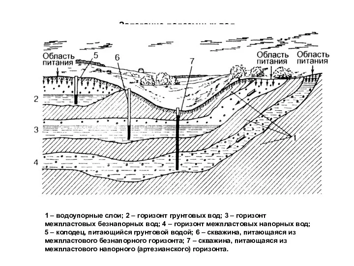 Залегание подземных вод 1 – водоупорные слои; 2 – горизонт грунтовых