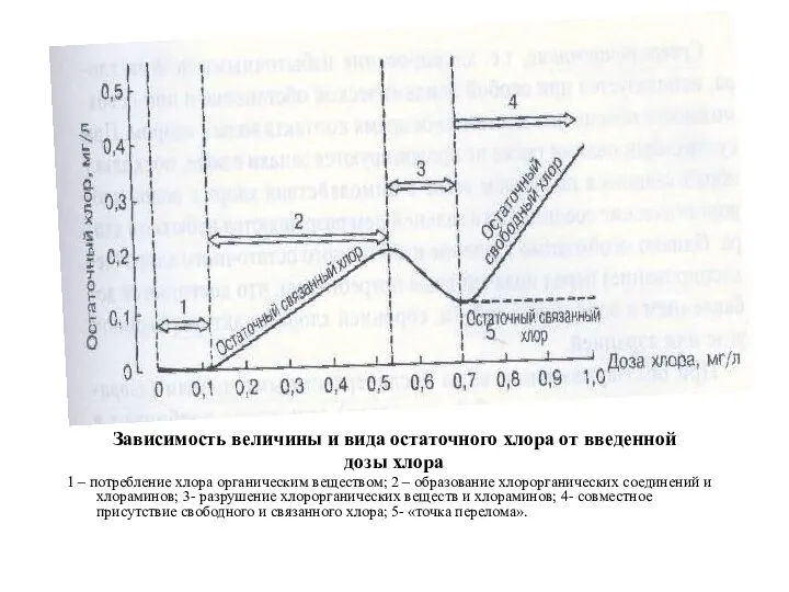 Зависимость величины и вида остаточного хлора от введенной дозы хлора 1