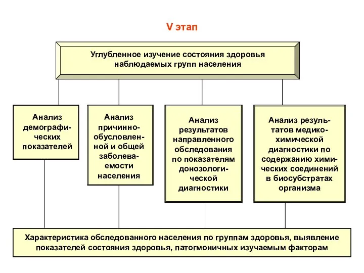 V этап Углубленное изучение состояния здоровья наблюдаемых групп населения Характеристика обследованного