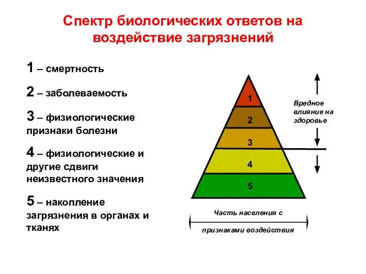 Спектр биологических ответов на воздействие загрязнений 1 – смертность 2 –