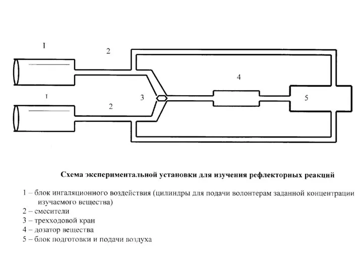 Схема экспериментальной установки для изучения рефлекторных реакций