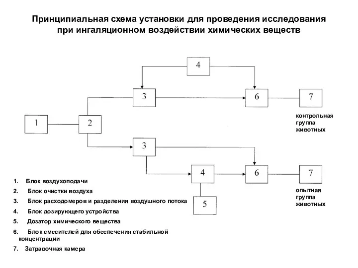 Принципиальная схема установки для проведения исследования при ингаляционном воздействии химических веществ