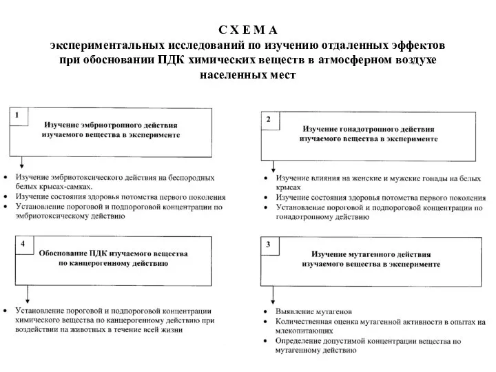 С Х Е М А экспериментальных исследований по изучению отдаленных эффектов