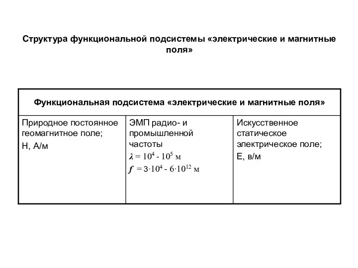 Структура функциональной подсистемы «электрические и магнитные поля»