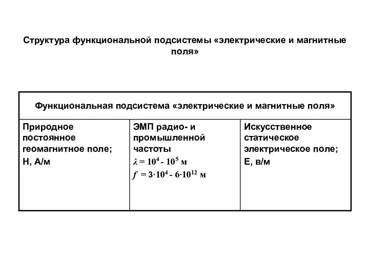 Структура функциональной подсистемы «электрические и магнитные поля»