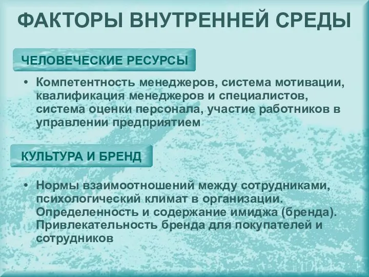 Компетентность менеджеров, система мотивации, квалификация менеджеров и специалистов, система оценки персонала,