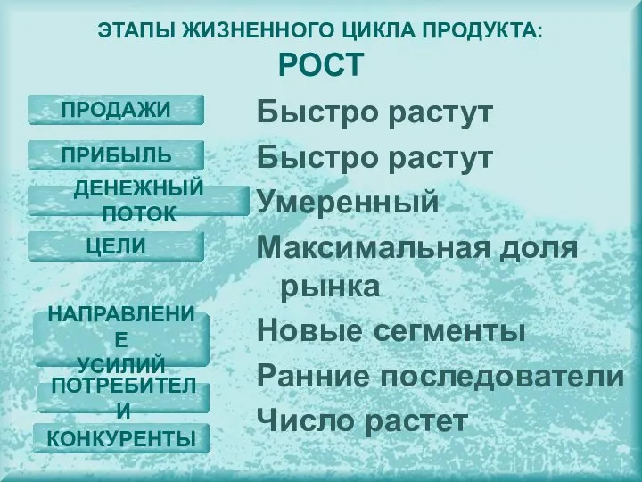 Быстро растут Быстро растут Умеренный Максимальная доля рынка Новые сегменты Ранние