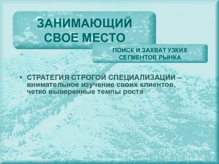 СТРАТЕГИЯ СТРОГОЙ СПЕЦИАЛИЗАЦИИ – внимательное изучение своих клиентов, четко выверенные темпы