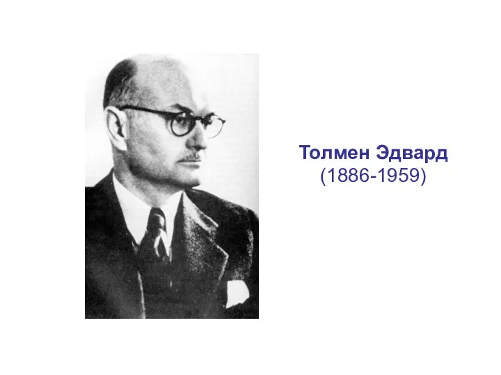 Толмен Эдвард (1886-1959)