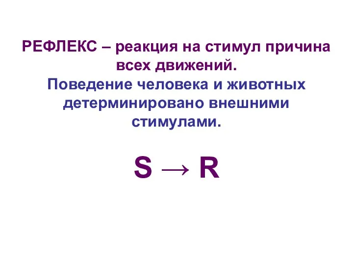 РЕФЛЕКС – реакция на стимул причина всех движений. Поведение человека и