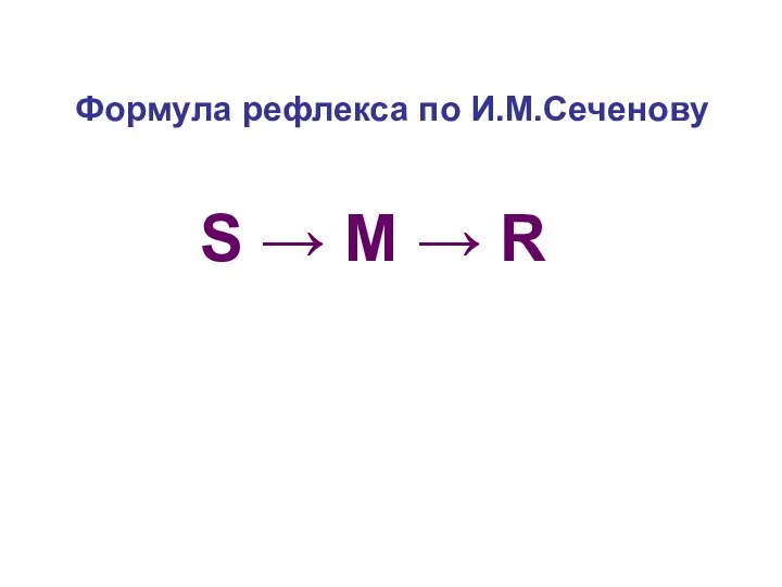 S → M → R Формула рефлекса по И.М.Сеченову