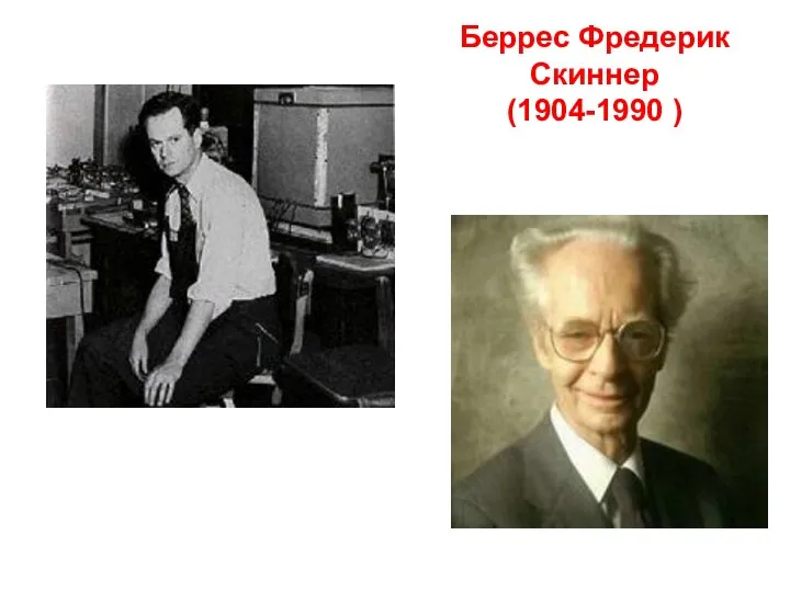 Беррес Фредерик Скиннер (1904-1990 )