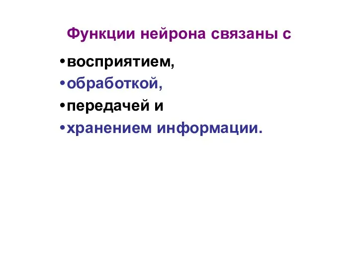 Функции нейрона связаны с восприятием, обработкой, передачей и хранением информации.