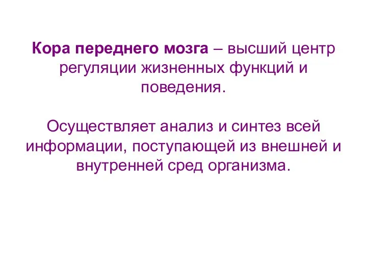 Кора переднего мозга – высший центр регуляции жизненных функций и поведения.