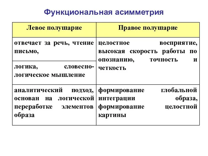 Функциональная асимметрия