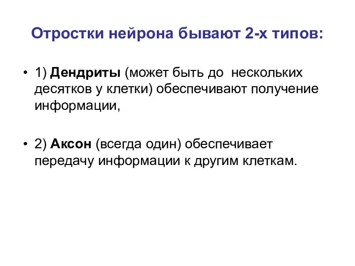 Отростки нейрона бывают 2-х типов: 1) Дендриты (может быть до нескольких