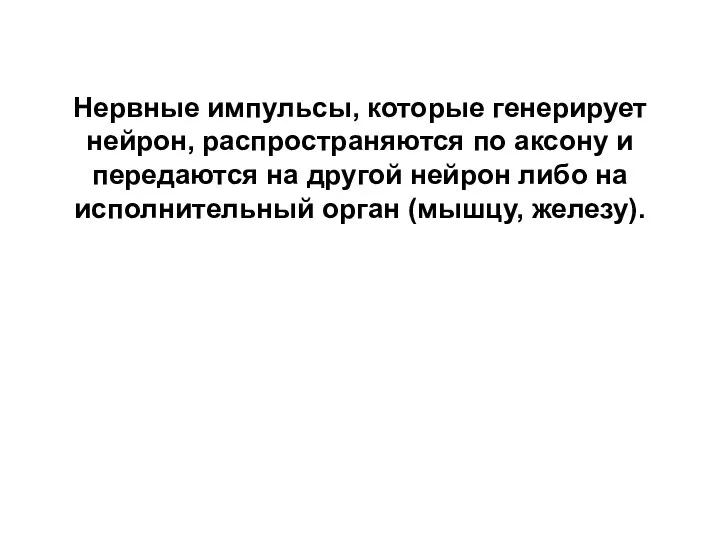 Нервные импульсы, которые генерирует нейрон, распространяются по аксону и передаются на