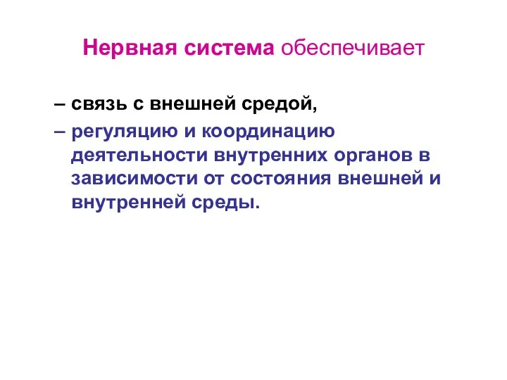 Нервная система обеспечивает связь с внешней средой, регуляцию и координацию деятельности