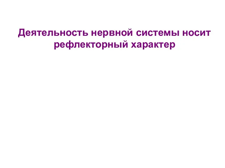 Деятельность нервной системы носит рефлекторный характер