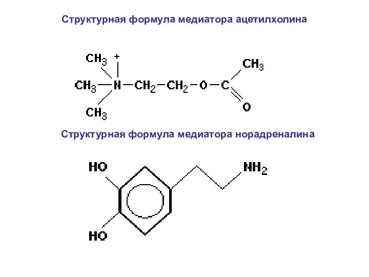 Структурная формула медиатора ацетилхолина Структурная формула медиатора норадреналина