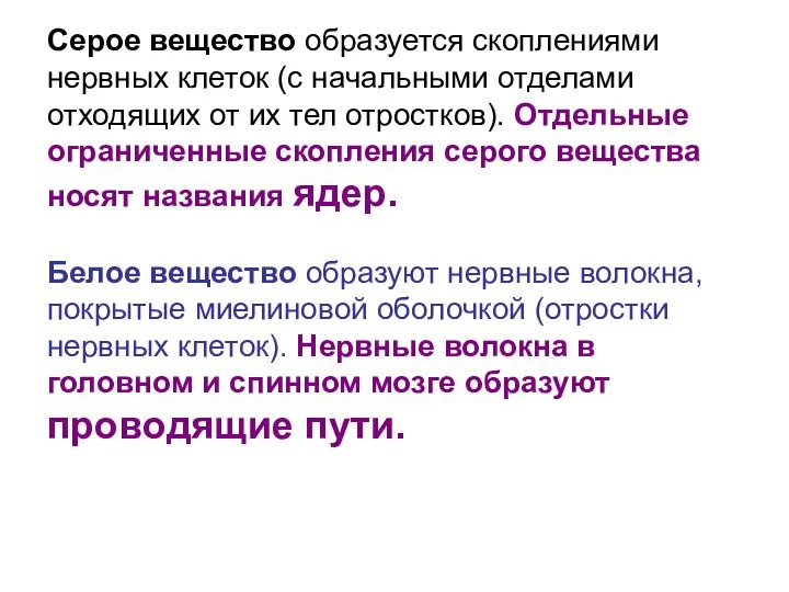 Серое вещество образуется скоплениями нервных клеток (с начальными отделами отходящих от