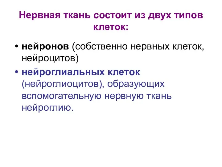 Нервная ткань состоит из двух типов клеток: нейронов (собственно нервных клеток,