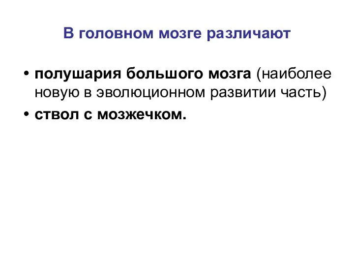 В головном мозге различают полушария большого мозга (наиболее новую в эволюционном развитии часть) ствол с мозжечком.