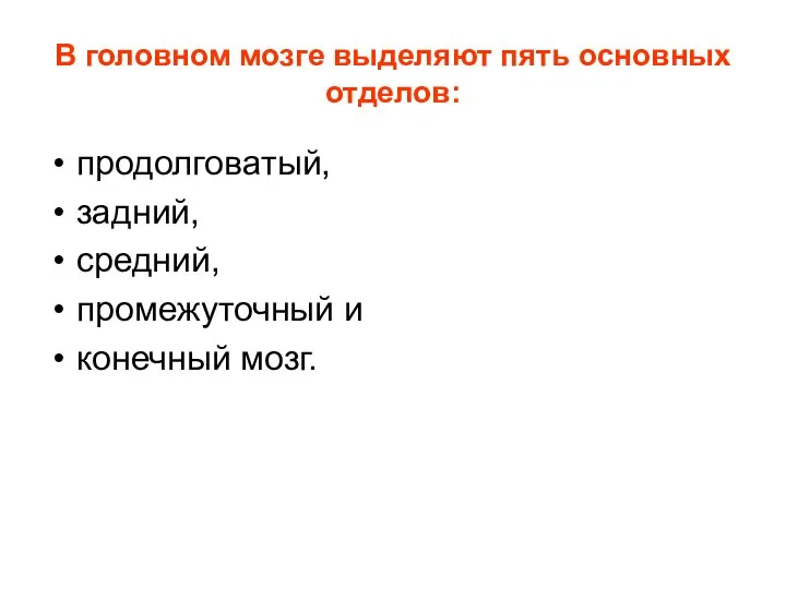 В головном мозге выделяют пять основных отделов: продолговатый, задний, средний, промежуточный и конечный мозг.