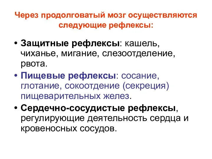 Через продолговатый мозг осуществляются следующие рефлексы: Защитные рефлексы: кашель, чиханье, мигание,