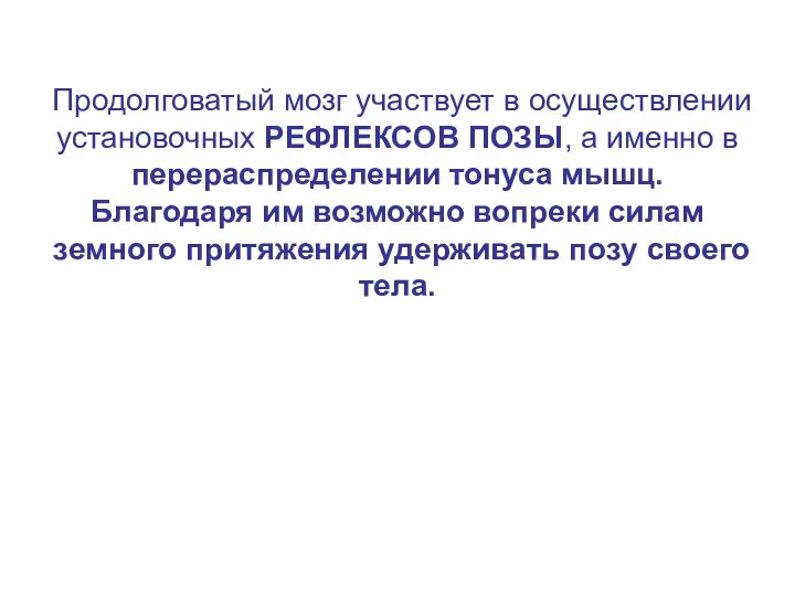 Продолговатый мозг участвует в осуществлении установочных РЕФЛЕКСОВ ПОЗЫ, а именно в