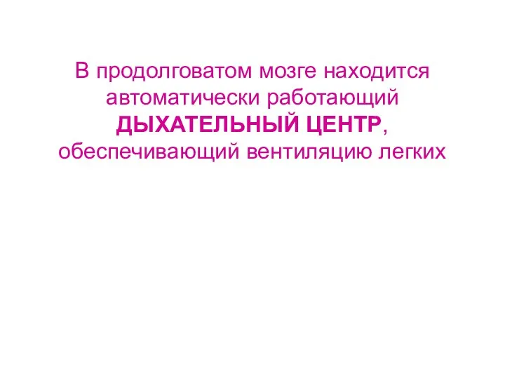 В продолговатом мозге находится автоматически работающий ДЫХАТЕЛЬНЫЙ ЦЕНТР, обеспечивающий вентиляцию легких