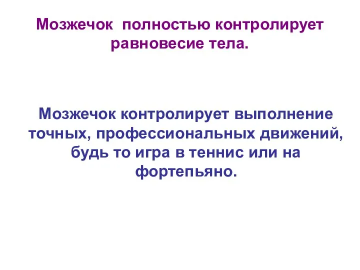 Мозжечок полностью контролирует равновесие тела. Мозжечок контролирует выполнение точных, профессиональных движений,