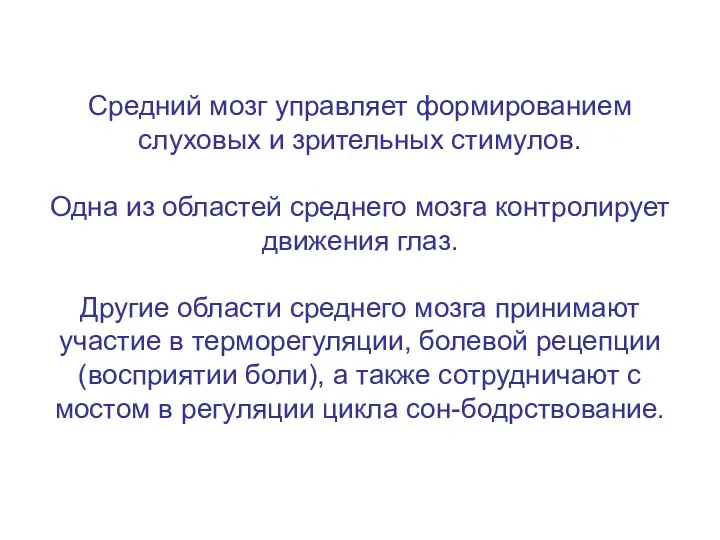 Средний мозг управляет формированием слуховых и зрительных стимулов. Одна из областей