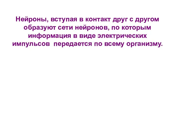 Нейроны, вступая в контакт друг с другом образуют сети нейронов, по