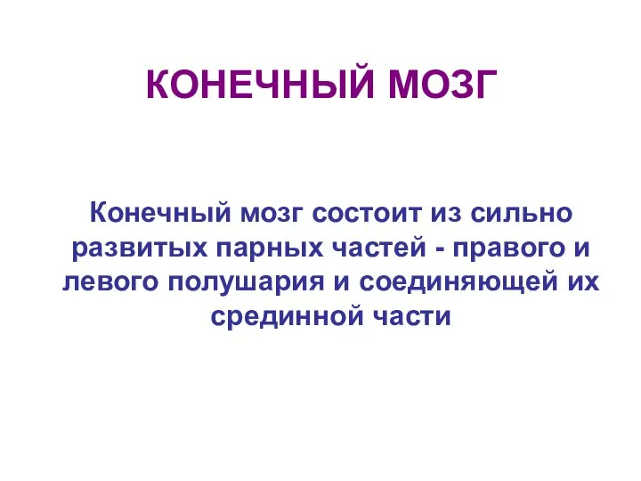 КОНЕЧНЫЙ МОЗГ Конечный мозг состоит из сильно развитых парных частей -