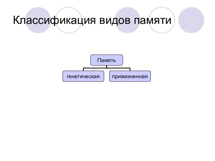 Классификация видов памяти