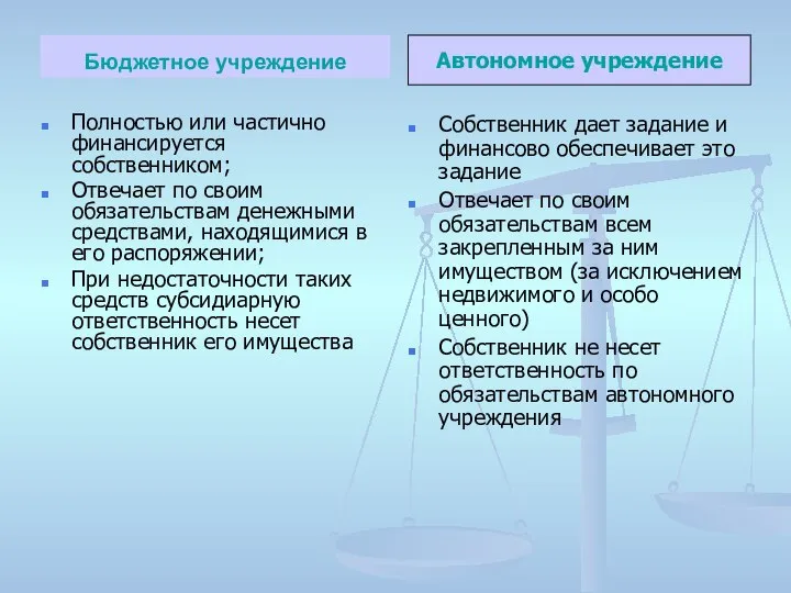 Бюджетное учреждение Полностью или частично финансируется собственником; Отвечает по своим обязательствам