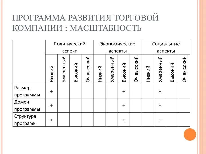 ПРОГРАММА РАЗВИТИЯ ТОРГОВОЙ КОМПАНИИ : МАСШТАБНОСТЬ