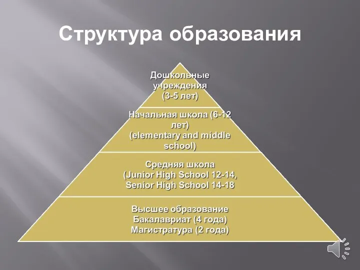 Структура образования